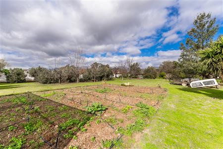 False - Vacant Land For Sale in McGregor, Western Cape - M124603