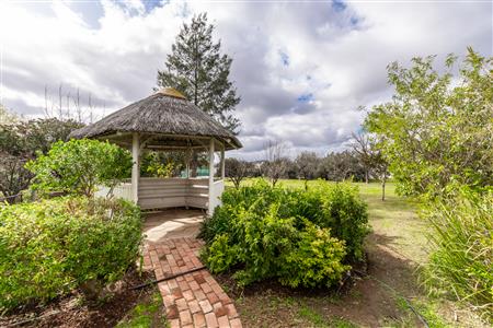 False - Vacant Land For Sale in McGregor, Western Cape - M124603