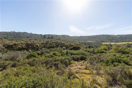 False - Vacant Land For Sale in Pienaarstrand, Groot Brakrivier, Western Cape - M124681