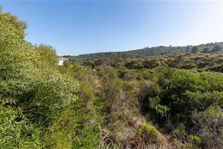 False - Vacant Land For Sale in Pienaarstrand, Groot Brakrivier, Western Cape - M124681
