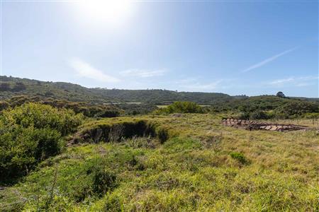 False - Vacant Land For Sale in Pienaarstrand, Groot Brakrivier, Western Cape - M124681