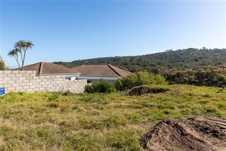 False - Vacant Land For Sale in Pienaarstrand, Groot Brakrivier, Western Cape - M124681