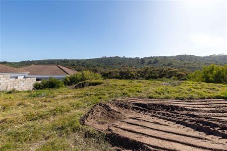 False - Vacant Land For Sale in Pienaarstrand, Groot Brakrivier, Western Cape - M124681