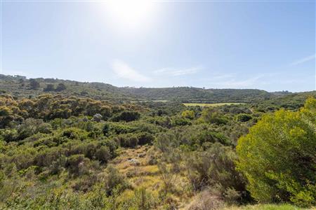 False - Vacant Land For Sale in Pienaarstrand, Groot Brakrivier, Western Cape - M124681