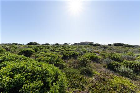 Vacant Land For Sale in Stilbaai Wes, Stilbaai, Western Cape - M124749