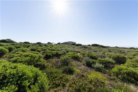 Vacant Land For Sale in Stilbaai Wes, Stilbaai, Western Cape - M124749