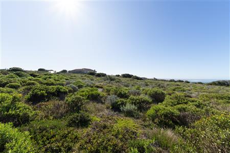 Vacant Land For Sale in Stilbaai Wes, Stilbaai, Western Cape - M124749