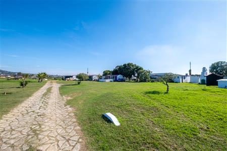 False - Farm For Sale in Bredasdorp, Western Cape - M123717