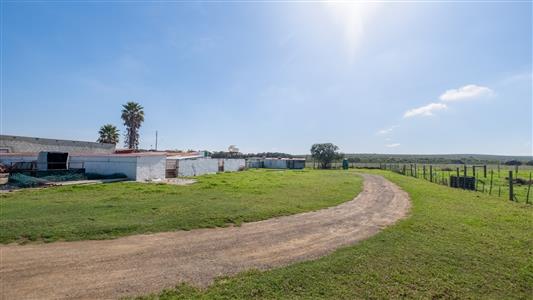 False - Farm For Sale in Bredasdorp, Western Cape - M123717