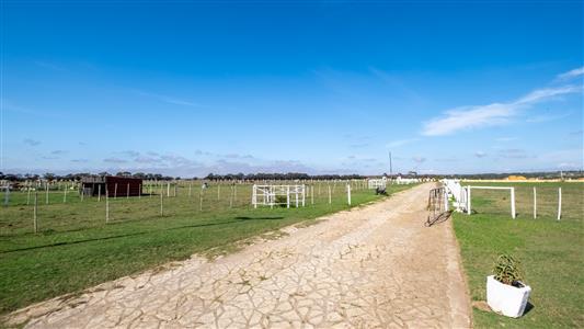 False - Farm For Sale in Bredasdorp, Western Cape - M123717
