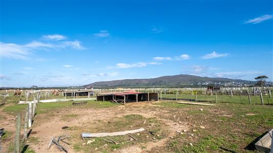 False - Farm For Sale in Bredasdorp, Western Cape - M123717