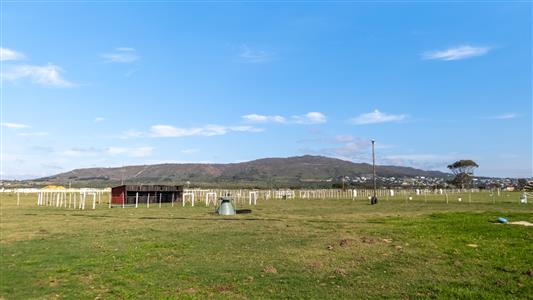 False - Farm For Sale in Bredasdorp, Western Cape - M123717