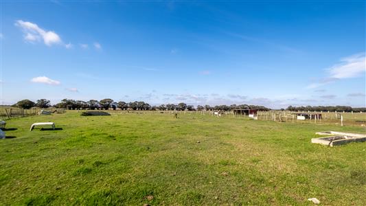 False - Farm For Sale in Bredasdorp, Western Cape - M123717