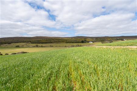 False - Farm Sold in Napier, Western Cape - M125234