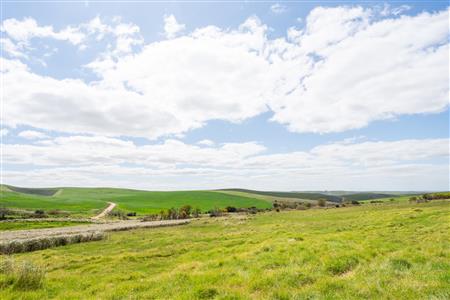 False - Farm Sold in Napier, Western Cape - M125234
