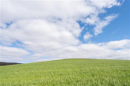 False - Farm Sold in Napier, Western Cape - M125234