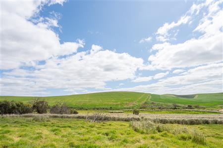 False - Farm Sold in Napier, Western Cape - M125234