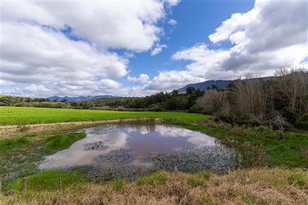 False - Farm For Sale in Riversdale, Western Cape - M125302