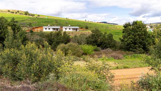False - Farm For Sale in Riversdale, Western Cape - M125302
