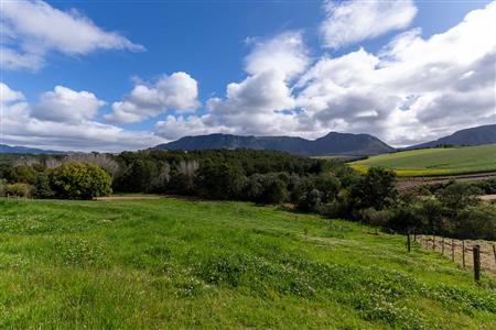 False - Farm For Sale in Riversdale, Western Cape - M125302