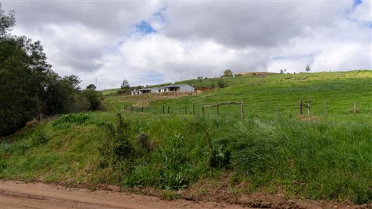False - Farm For Sale in Riversdale, Western Cape - M125302