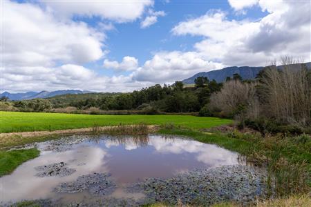 False - Farm For Sale in Riversdale, Western Cape - M125302