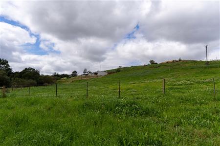 False - Farm For Sale in Riversdale, Western Cape - M125302
