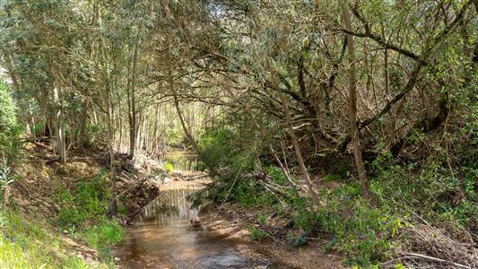 False - Farm For Sale in Riversdale, Western Cape - M125302