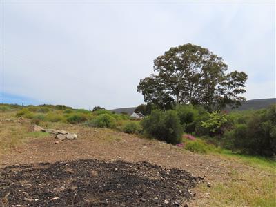 False - Vacant Land For Sale in McGregor, Western Cape - M125322