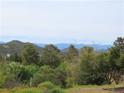 False - Vacant Land For Sale in McGregor, Western Cape - M125322