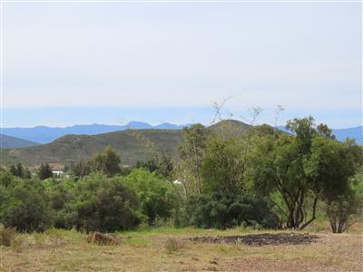 False - Vacant Land For Sale in McGregor, Western Cape - M125322