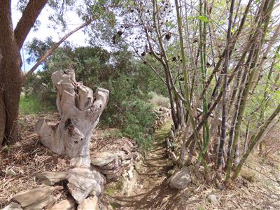 False - Vacant Land For Sale in McGregor, Western Cape - M125322