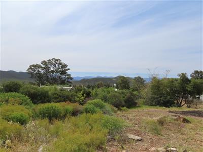 False - Vacant Land For Sale in McGregor, Western Cape - M125322