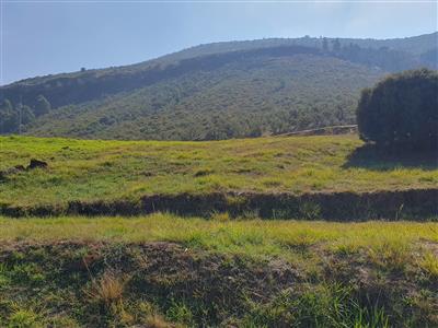 False - Vacant Land For Sale in Clarens Golf & Trout Estate, Clarens, Free State - M125338