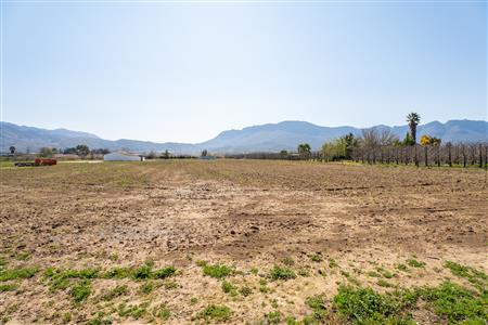 False - Farm For Sale in Prince Alfred Hamlet, Ceres, Western Cape - M125385