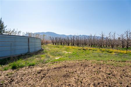 False - Farm For Sale in Prince Alfred Hamlet, Ceres, Western Cape - M125385