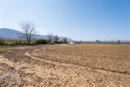False - Farm For Sale in Prince Alfred Hamlet, Ceres, Western Cape - M125385