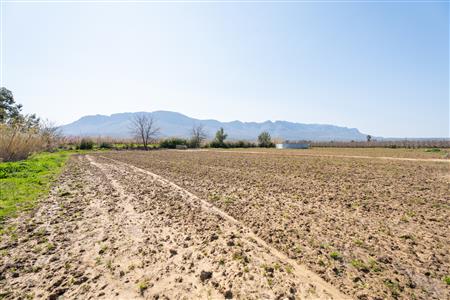 False - Farm For Sale in Prince Alfred Hamlet, Ceres, Western Cape - M125385