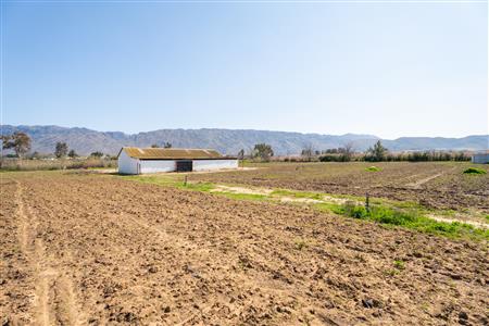 False - Farm For Sale in Prince Alfred Hamlet, Ceres, Western Cape - M125385