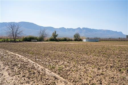 False - Farm For Sale in Prince Alfred Hamlet, Ceres, Western Cape - M125385