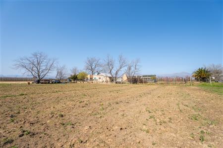 False - Farm For Sale in Prince Alfred Hamlet, Ceres, Western Cape - M125385