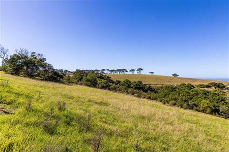 False - Vacant Land For Sale in Le Grand Estate, George, Western Cape - M117531