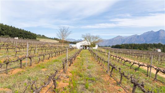 False - Farm For Sale in Paarl Central, Paarl, Western Cape - M125472