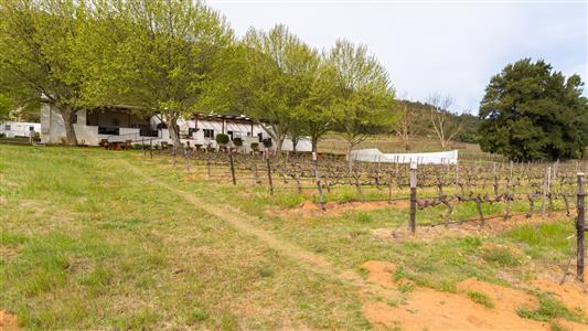 False - Farm For Sale in Paarl Central, Paarl, Western Cape - M125472