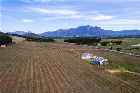 False - Farm For Sale in Paarl Central, Paarl, Western Cape - M125472