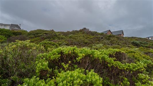 False - Vacant Land For Sale in Suiderstrand, Western Cape - M125496