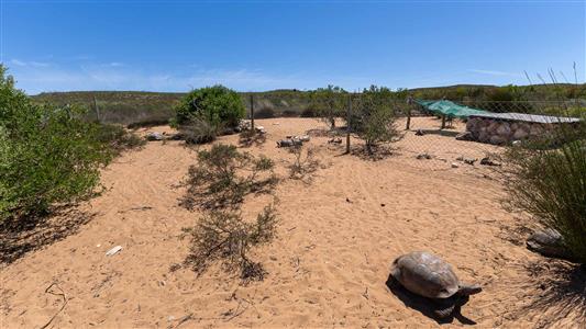 False - Farm For Sale in Stilbaai Rural, Stilbaai, Western Cape - M125705