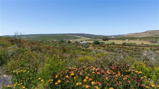 False - Farm For Sale in Stilbaai Rural, Stilbaai, Western Cape - M125705