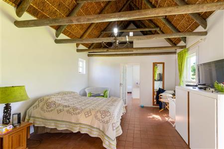 False - Farm For Sale in Stilbaai Rural, Stilbaai, Western Cape - M125705