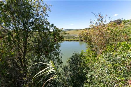 False - Farm For Sale in Stilbaai Rural, Stilbaai, Western Cape - M125705